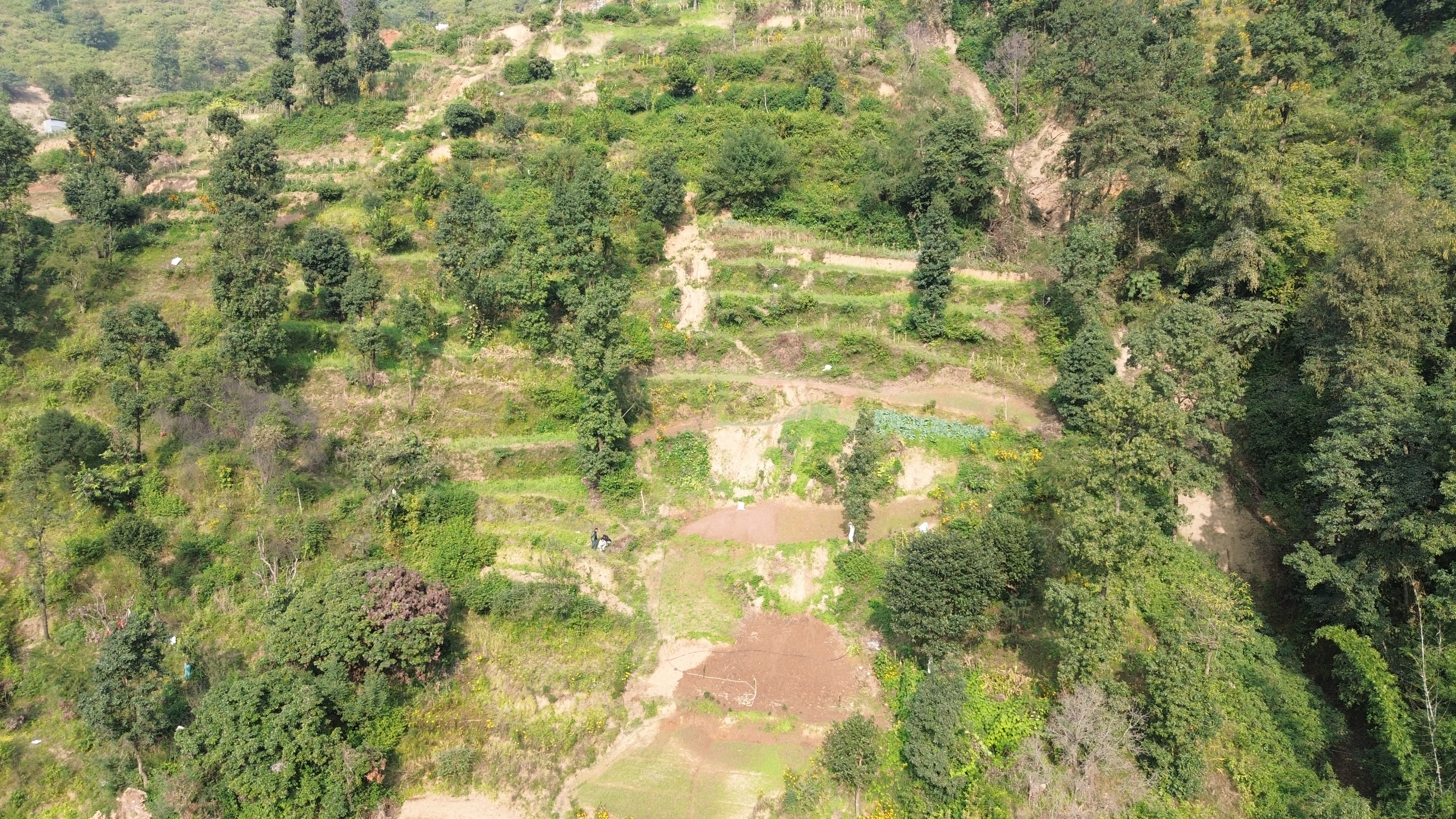 Land